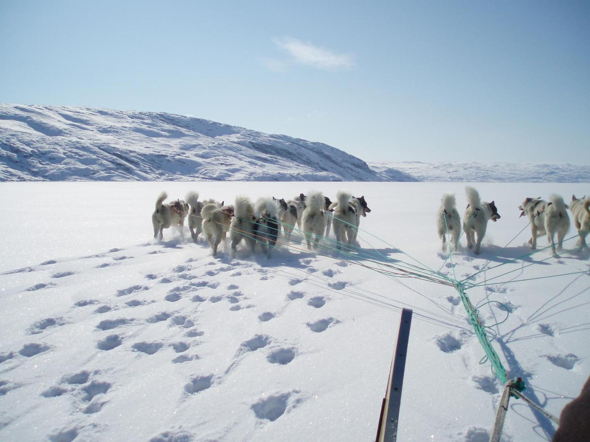 Hotel Icefiord อิลูลิสชัท ภายนอก รูปภาพ